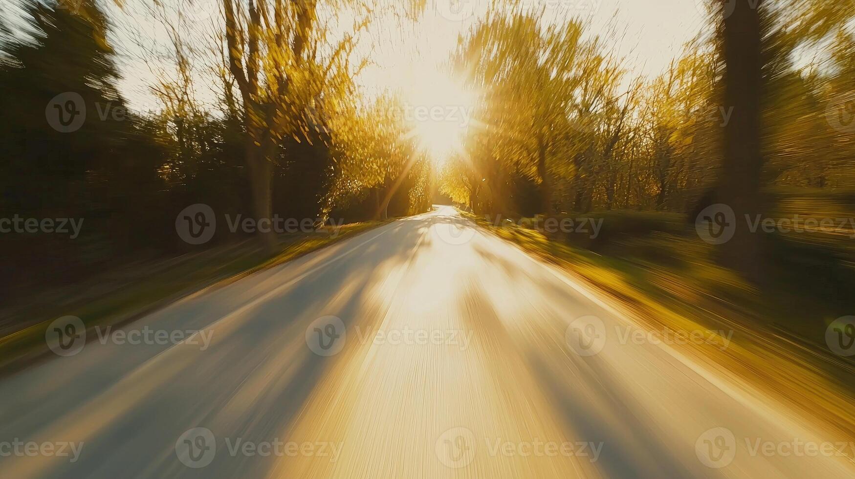Sunlit Road Through Autumnal Trees During Fast Drive photo