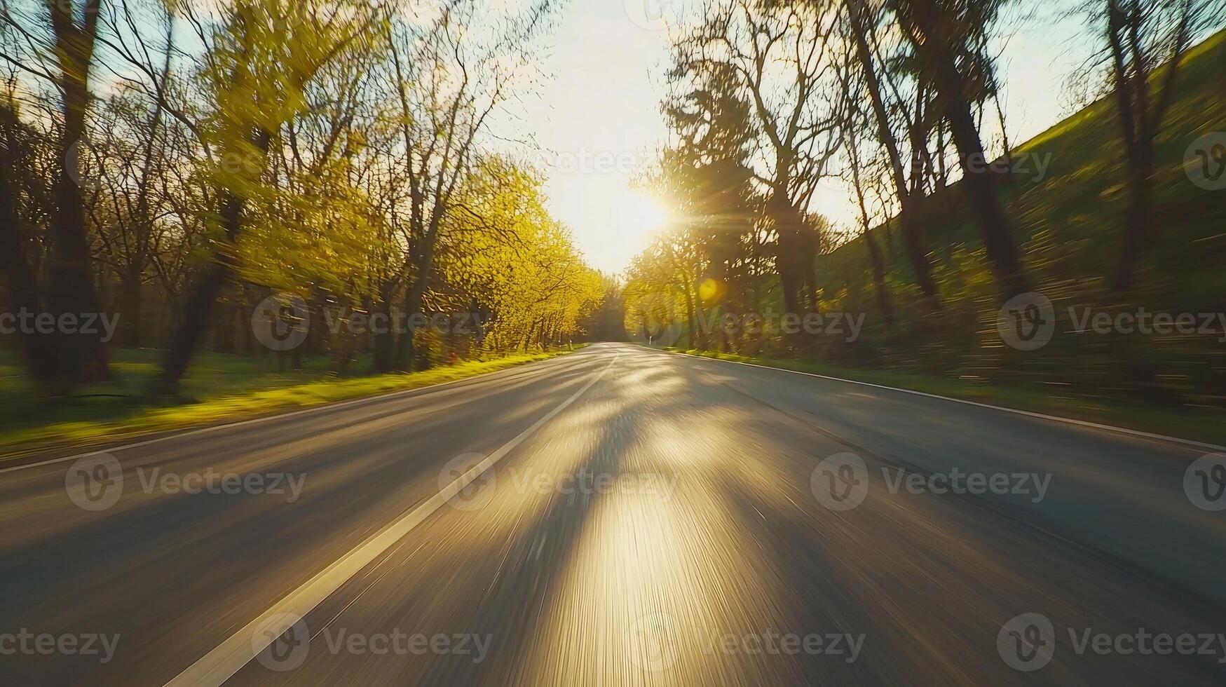 Sunlit Road Through Springtime Trees During a Drive photo
