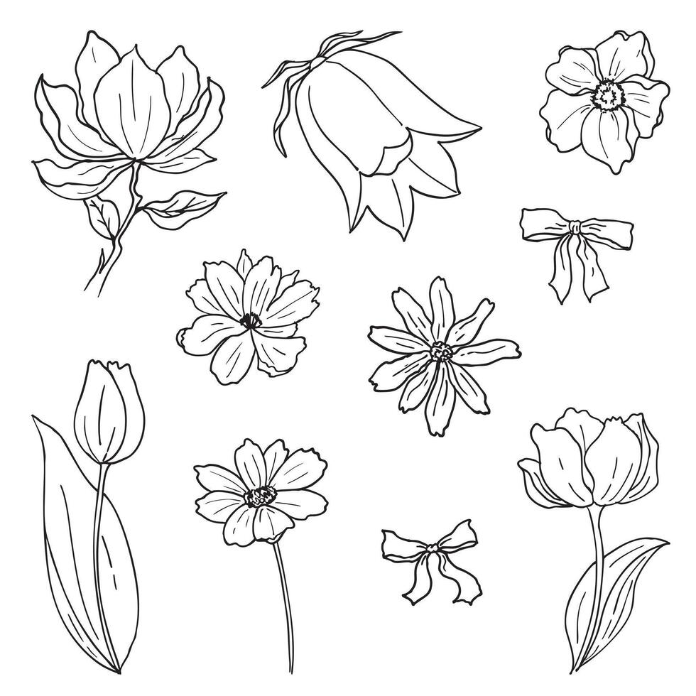 flowers and bow doodle collection, hand drawn spring elements, line art vector