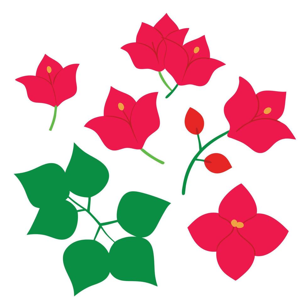 red flowers and leaves on a white background vector