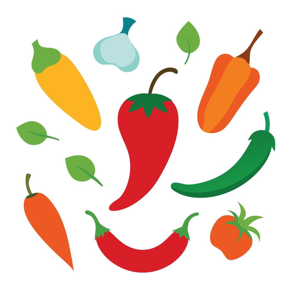 various peppers and tomatoes on a white background vector