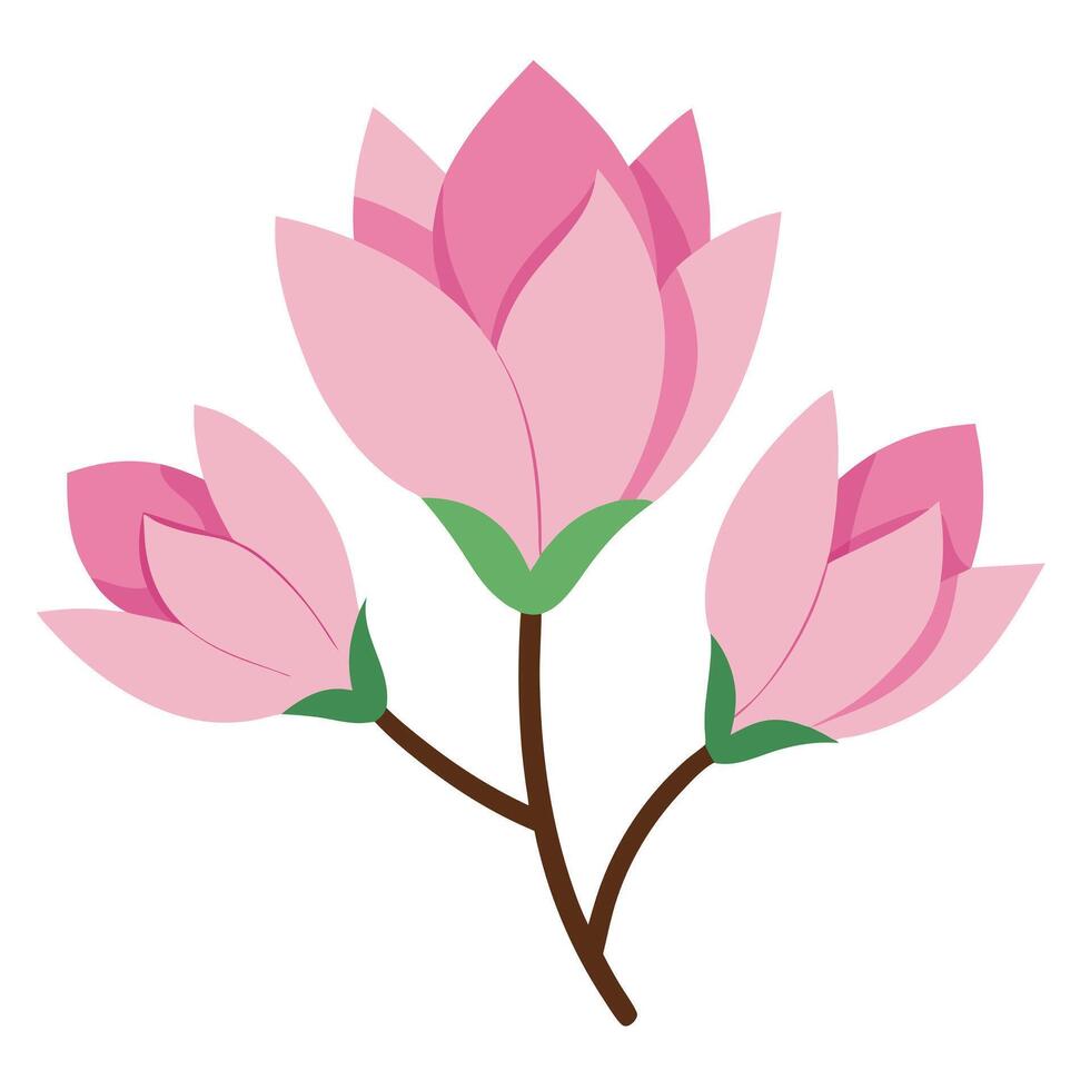 set pink flower with leaves on a white background vector