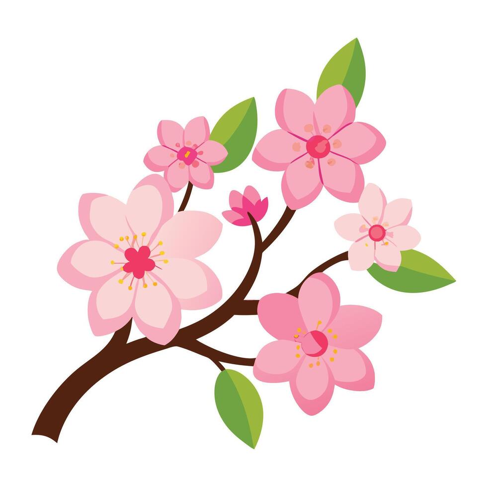 cherry blossom illustration design on a white background vector