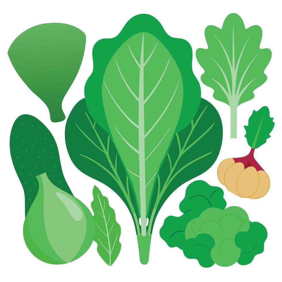 a variety of vegetables are shown on a white background vector