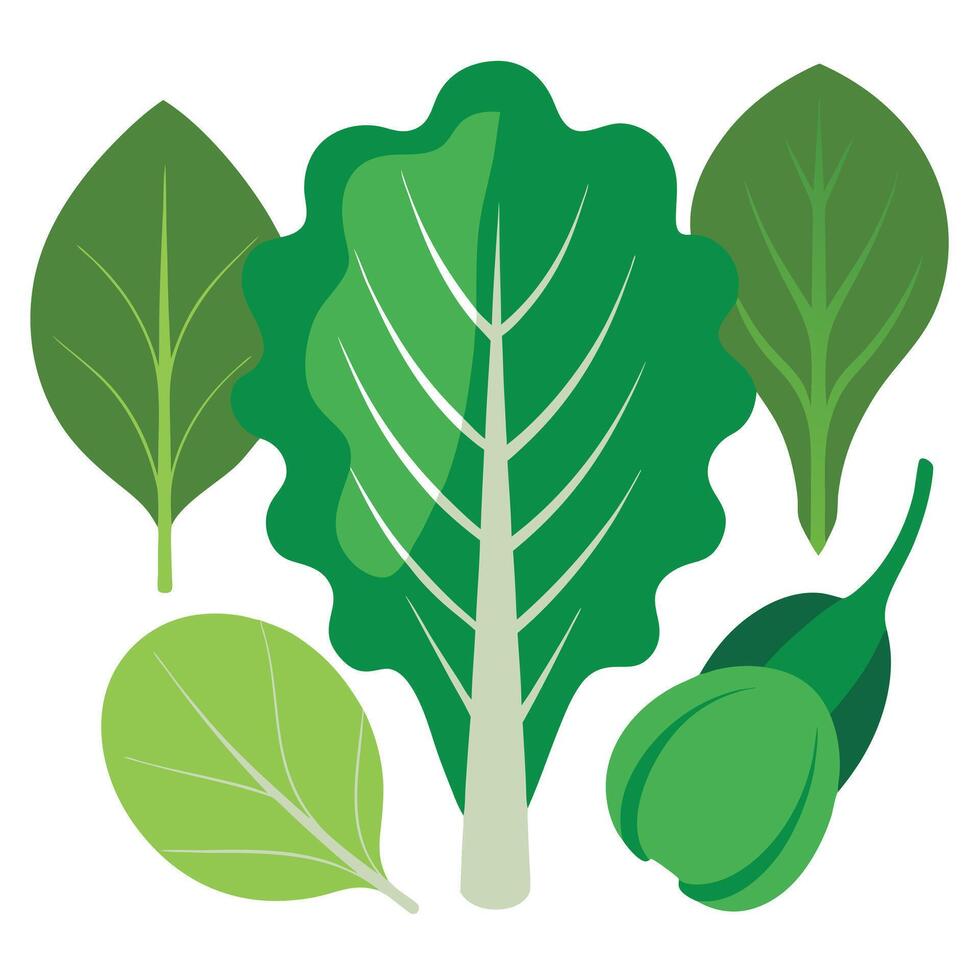 a group of green leaves on a white background vector