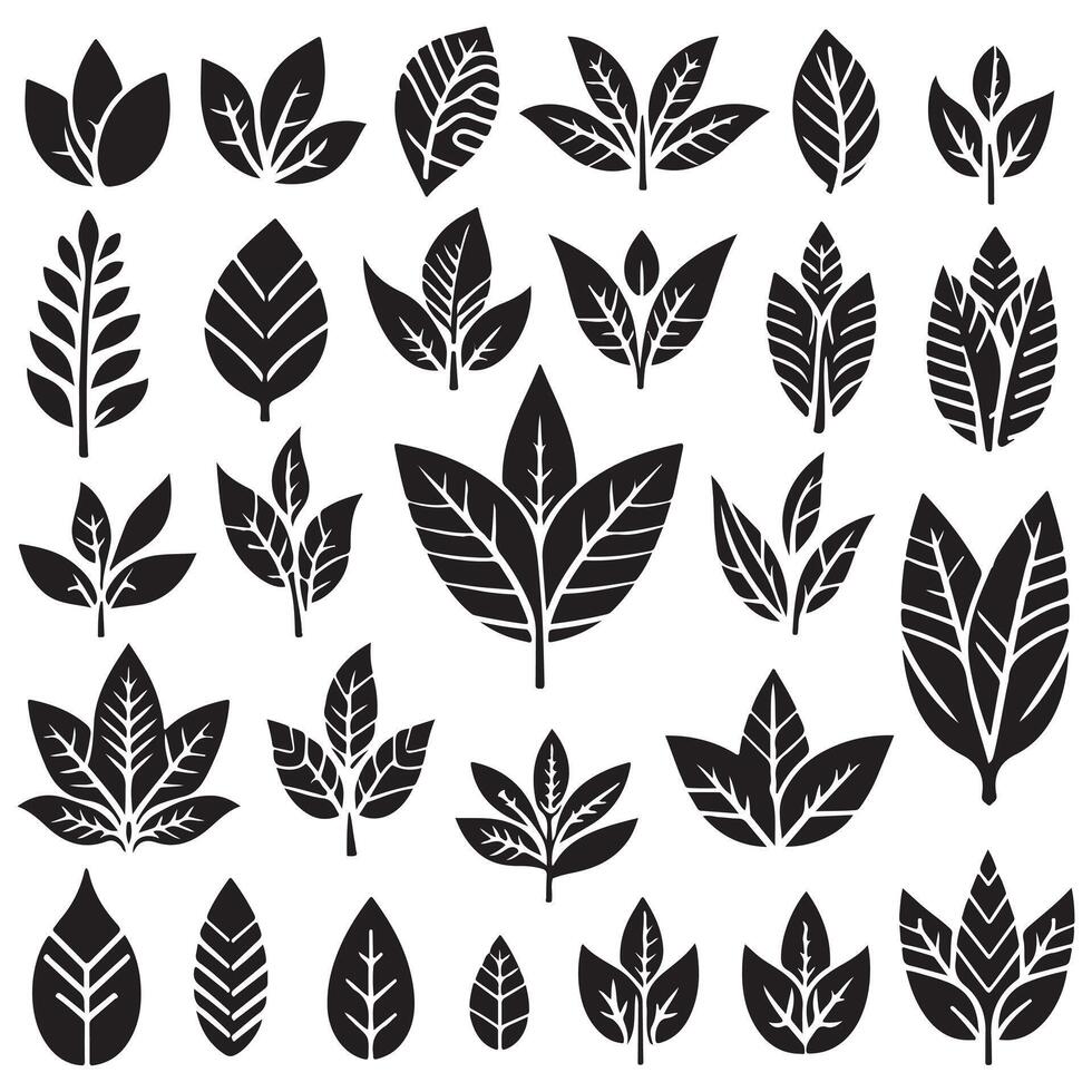a set of black and white leaves on a white background vector