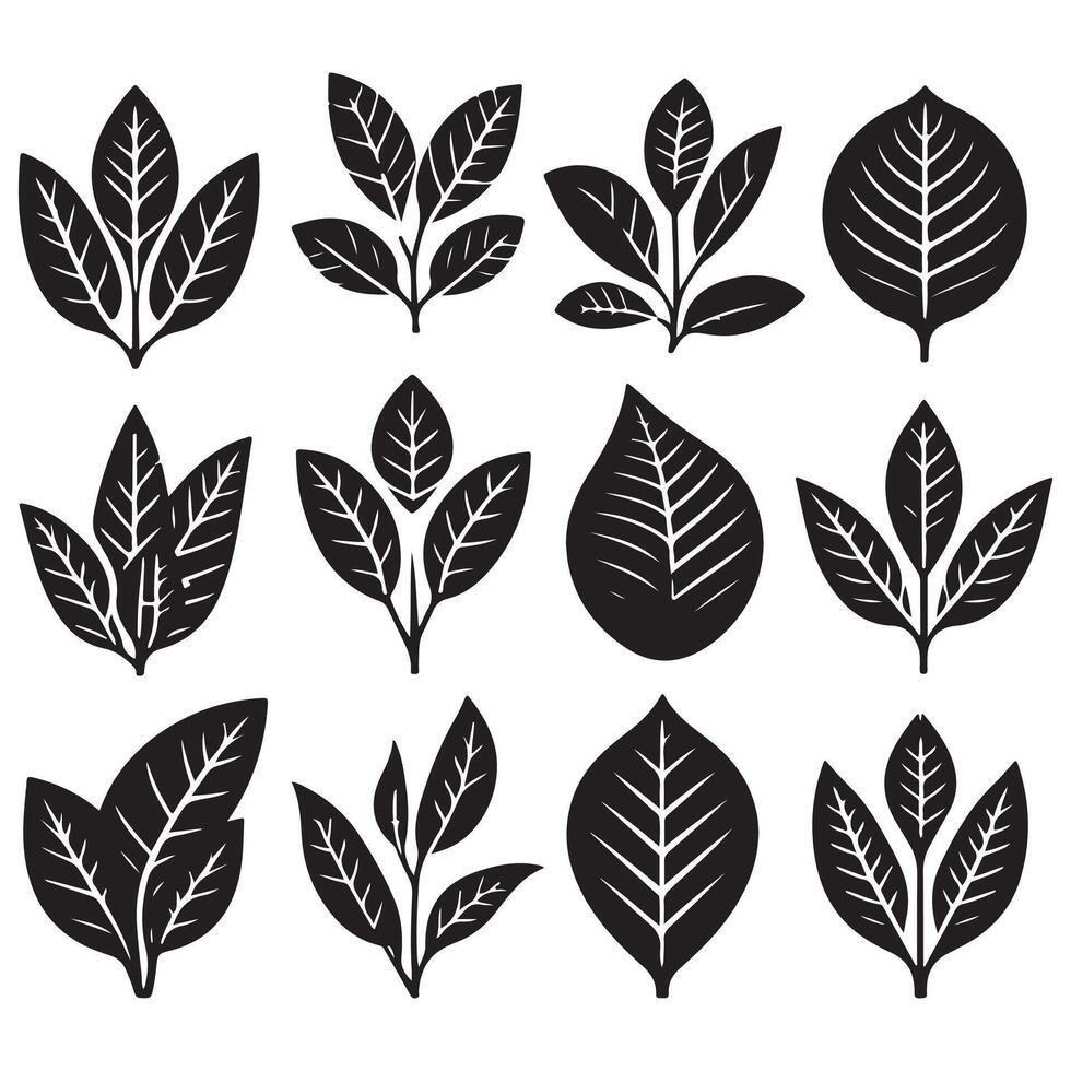 black and white leaves icons set design on a white background vector