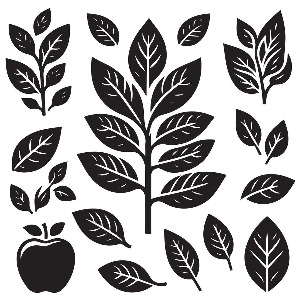 Awesome black and white leaves and apple on a white background vector
