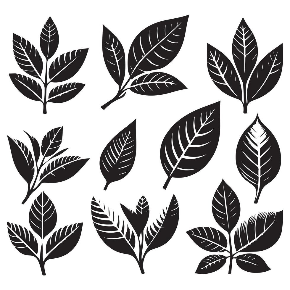 black and white leaves set of leaves design on a white background vector