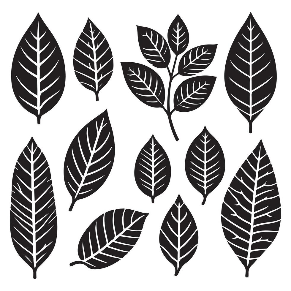 a set of black and white leaves design on a white background vector
