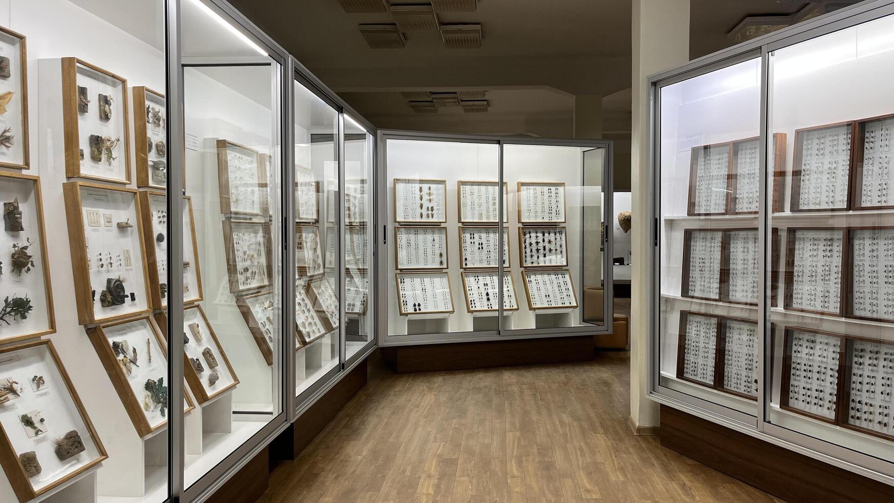 Kaunas, Lithuania. February 16, 2025. Modern museum display cases featuring diverse insect specimens in Kaunas Museum of Zoology photo