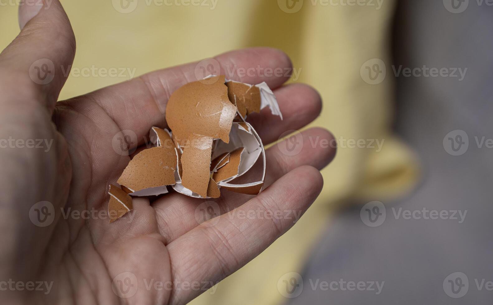 A person holding a piece of paper with a brown horse photo
