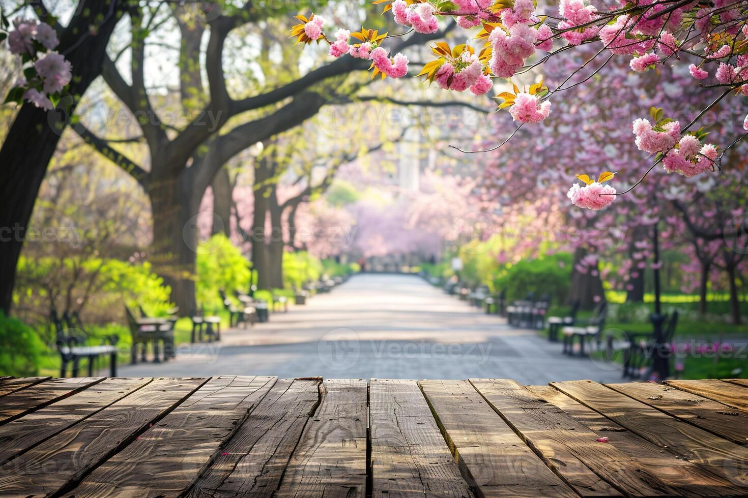 close-up template empty wooden table on blurred spring park road background with pink cherry sakura flowers for product display or montage photo