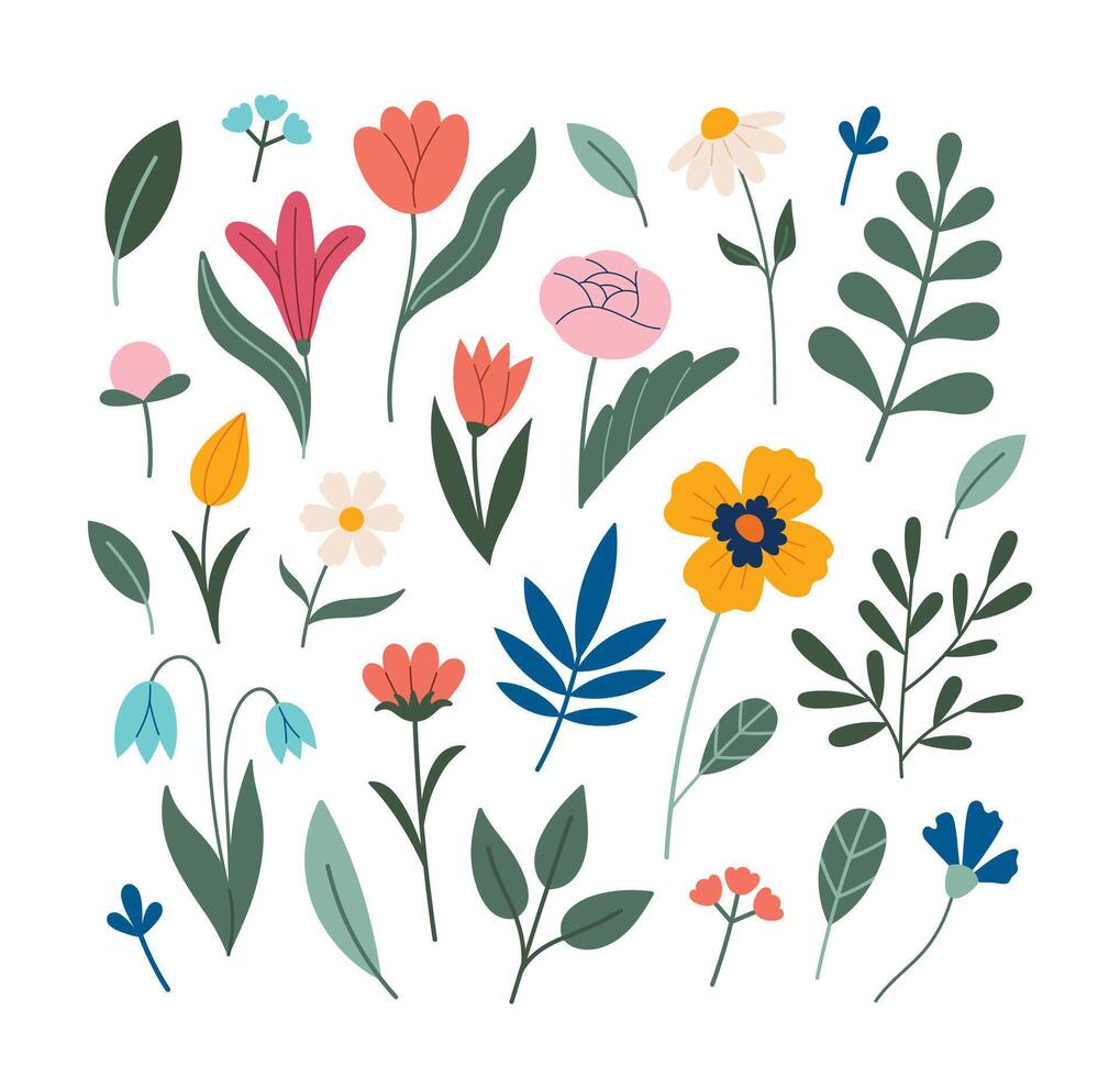 Flowers collection. Different flowers isolated. Summer and spring flowers and herbs. Hand drawn poppy, tulip, peony, narcissus, doodle style, flat design. vector