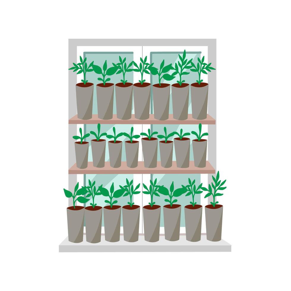 Seedlings of vegetables in cups on a windowsill vector