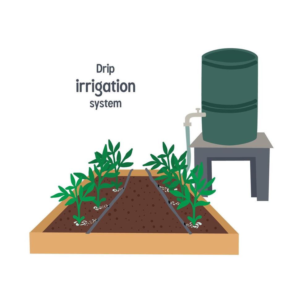Drip irrigation system for garden using a barrel vector