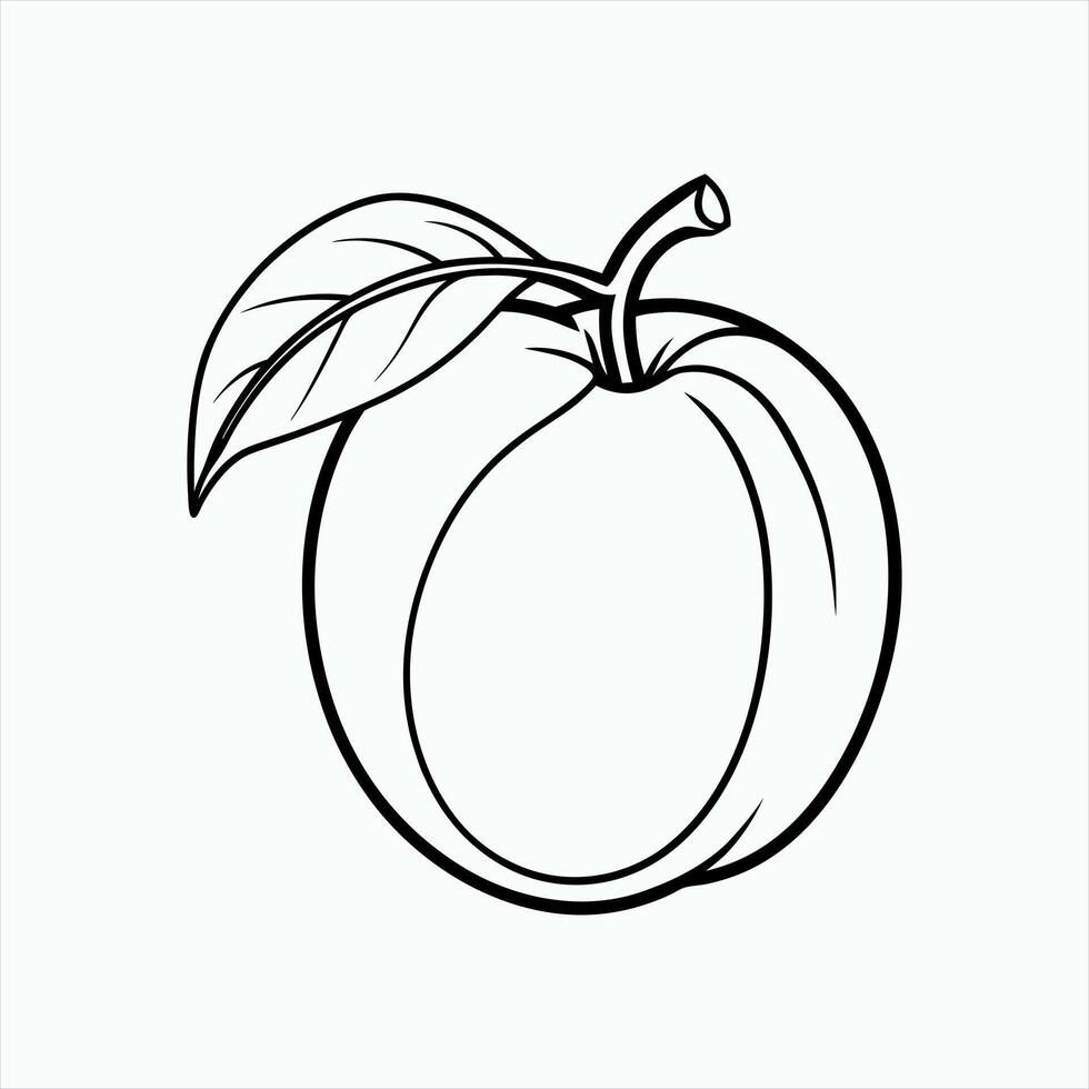 Apricot Illustration on White Background High-Quality Digital Artwork vector