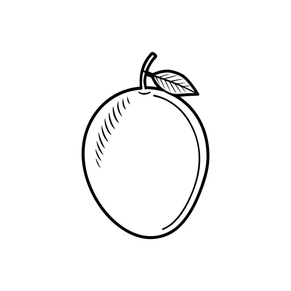 Mango fruit on white background vector