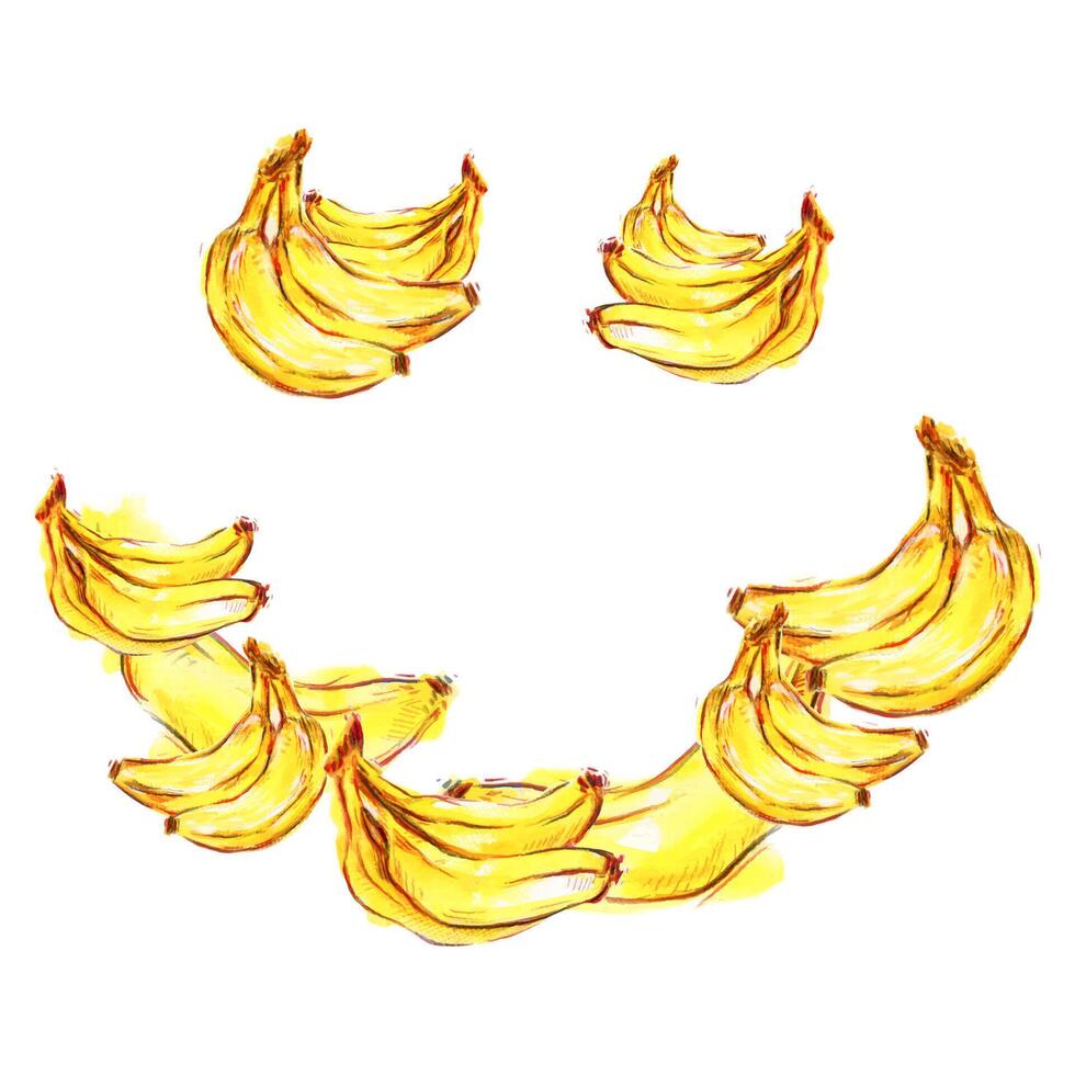Hand drawn illustration of watercolor bananas from funny smile shape, yellow banana isolated on white background, exotic fruit Clip art for logo, packaging, banner, label, print, happy emotion vector