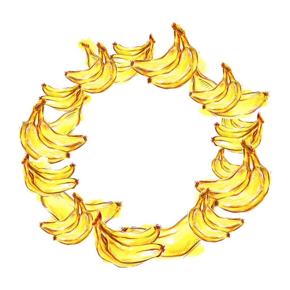 Hand drawn Watercolor Wreaths illustration with bright yellow bananas isolated on white background, exotic natural painted clip art for design, text, banner, label, packaging and desserts vector