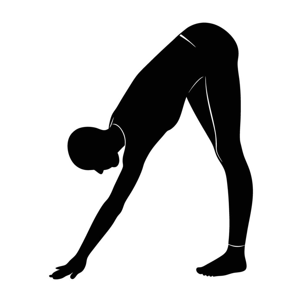 Yoga forward bend with straight legs silhouette isolated on white background for deep stretch vector