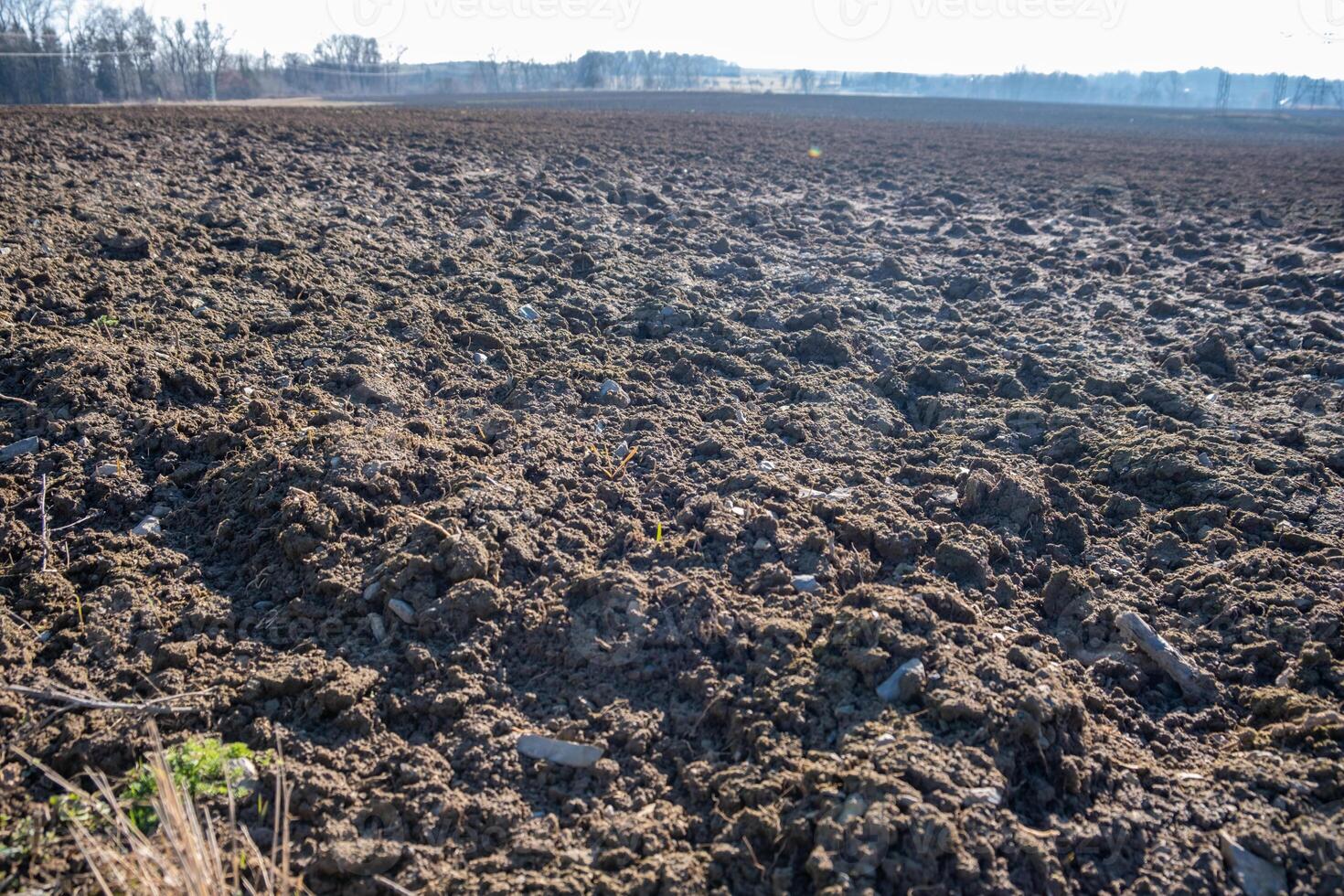 Wide view of a plowed field under a clear sky, farming and cultivation scene photo