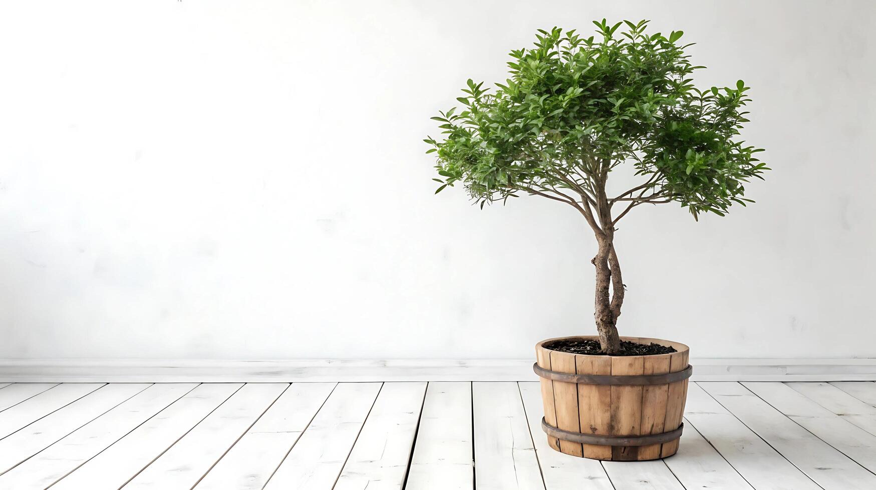 Stylish potted tree in rustic wooden barrel photo