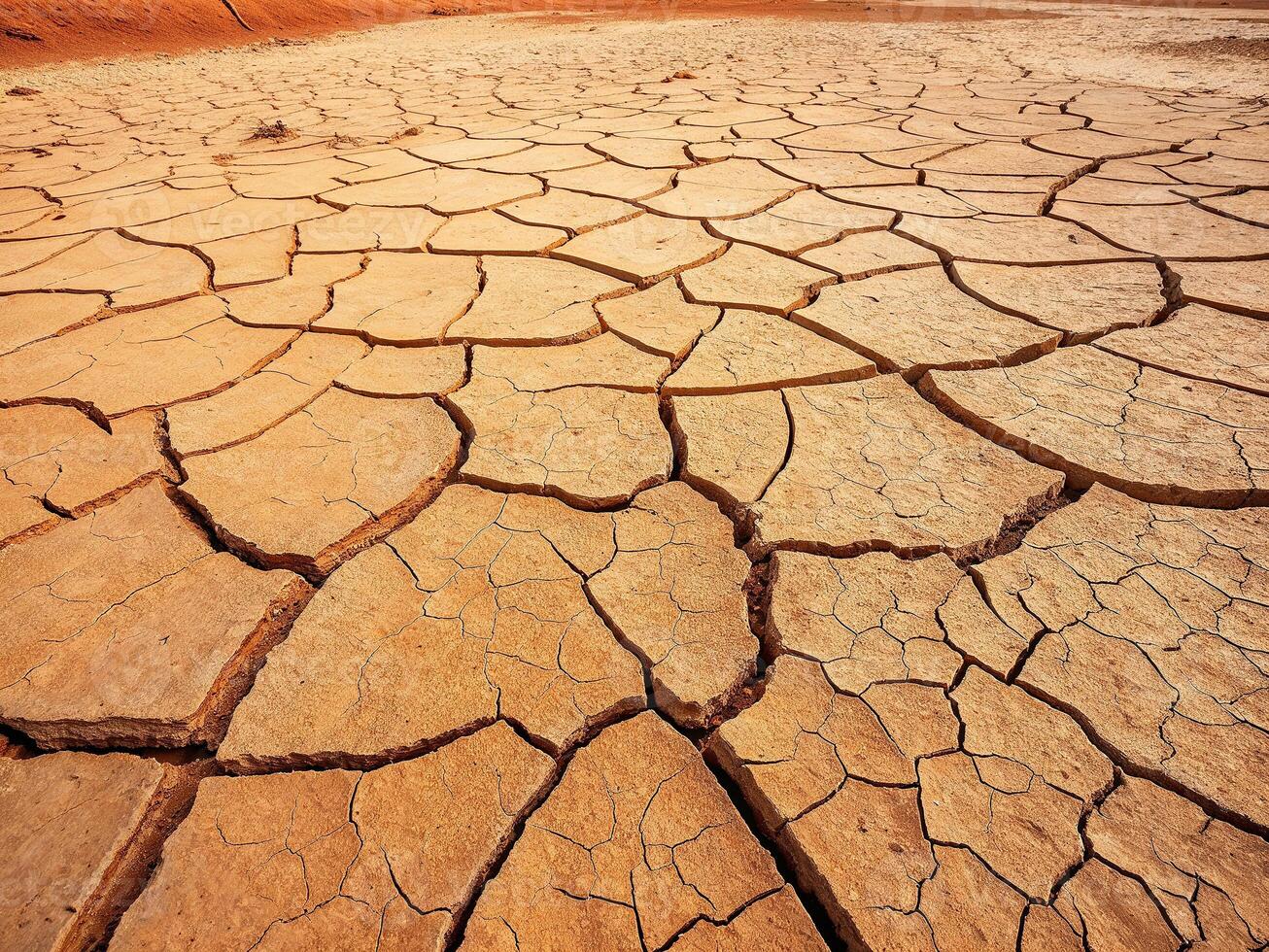 Dry cracked earth showcases severe drought conditions in arid landscape during daytime photo