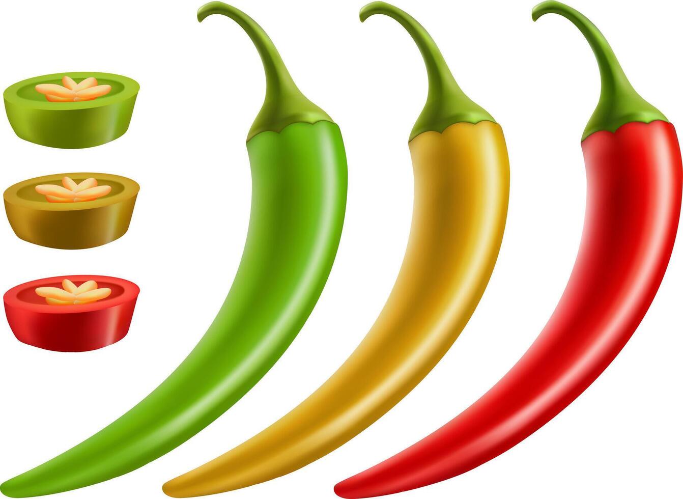 Collection of hot peppers Red Green Yellow . slice and ring of hot vegetable spice Hot spicy chilli peppers compositions 3d ripe chili on white background. vector