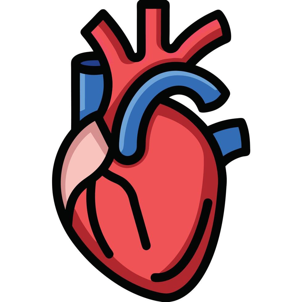 Anatomical Heart Illustration in a Simplified Graphic Style vector