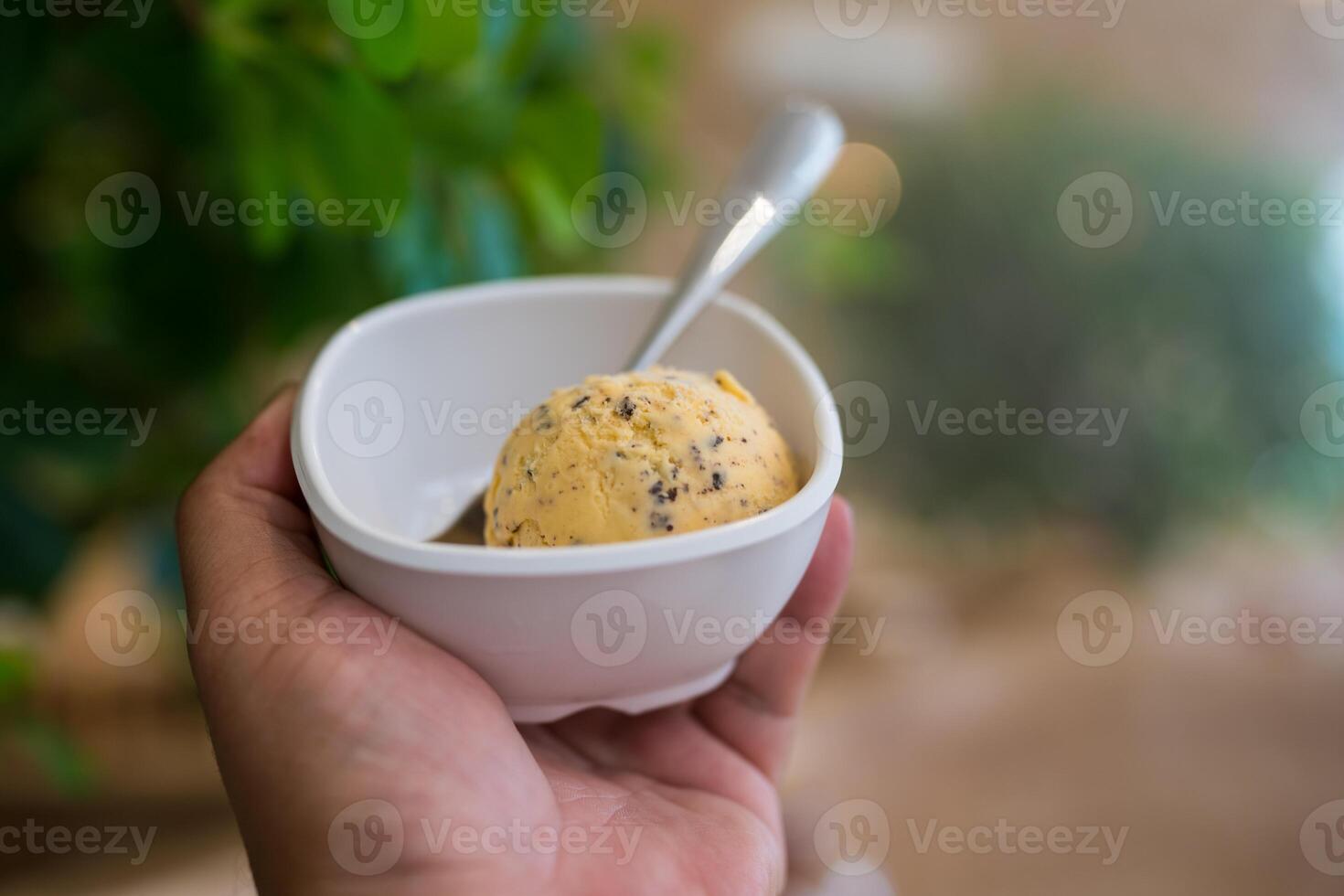 Close up of bowl of vanilla ice cream photo