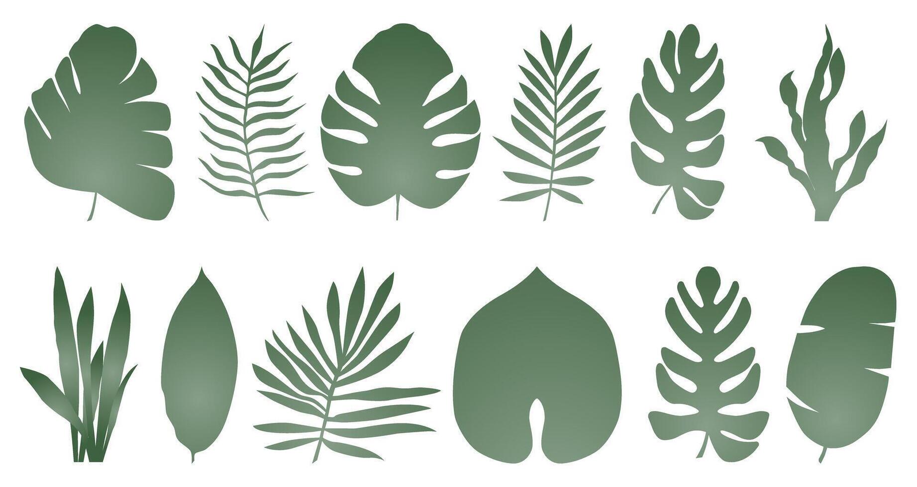 Set of exotic tropical leaves of different types in gradient. Illustration isolated on white background. vector