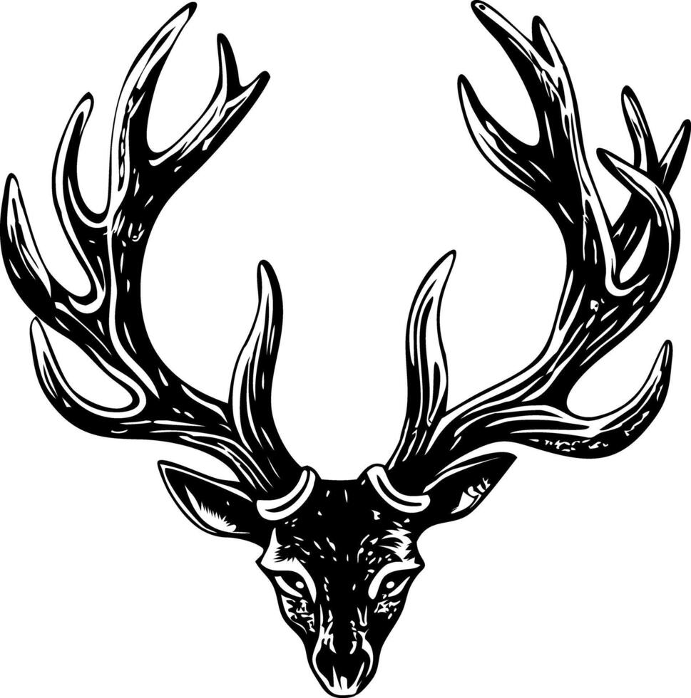 Deer antlers illustration in vintage style vector