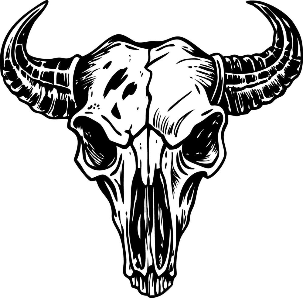 A vintage style illustration of buffalo skull vector