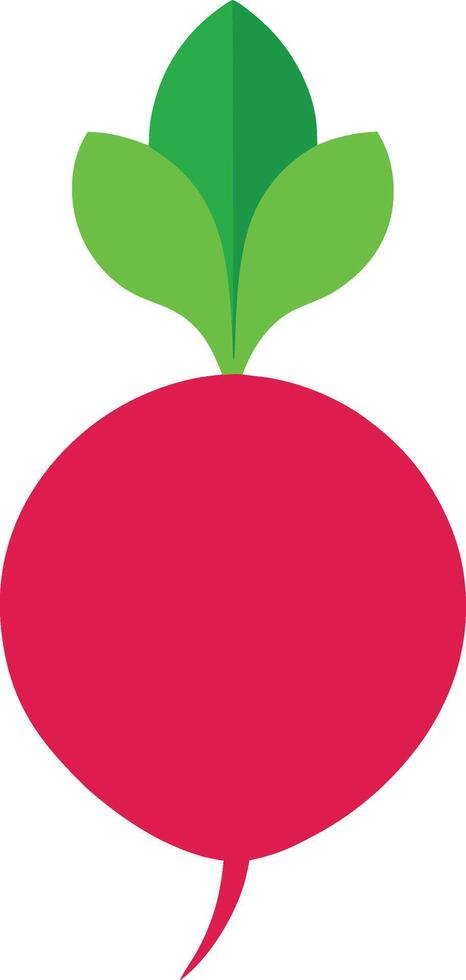 Beetroot Vegetable Artwork for Health and Nutrition Themes vector