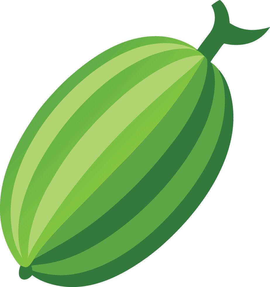 Bitter Melon Illustration - Fresh and Organic Design vector