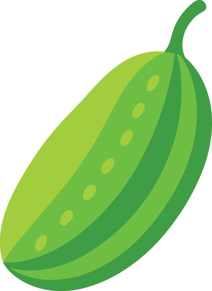 Bitter Melon Drawing - Perfect for Organic and Wellness Projects vector