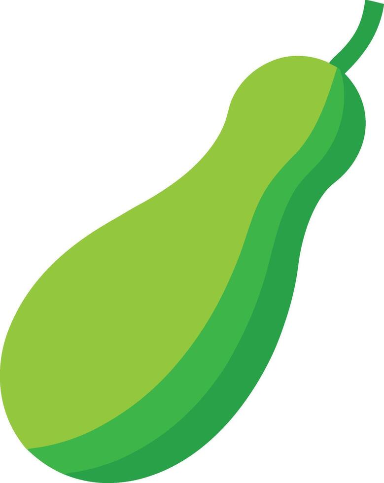 Bottle Gourd Vegetable Illustration for Healthy Eating vector