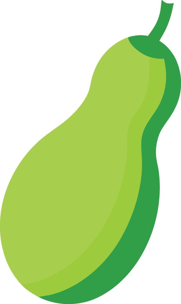 Fresh Bottle Gourd Vegetable Line Art Design vector