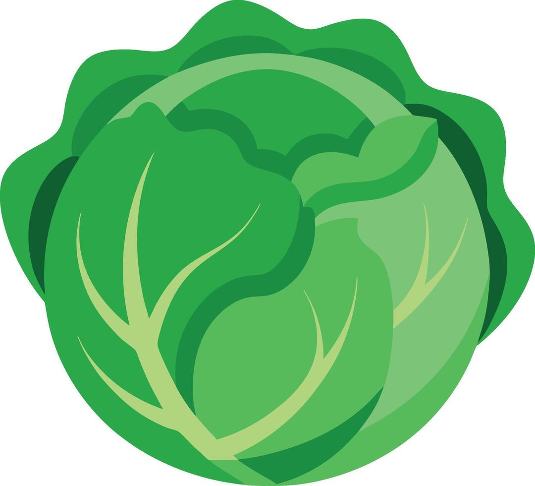 Bright and Crisp Cabbage Vegetable Graphic for Eco-Friendly Projects vector