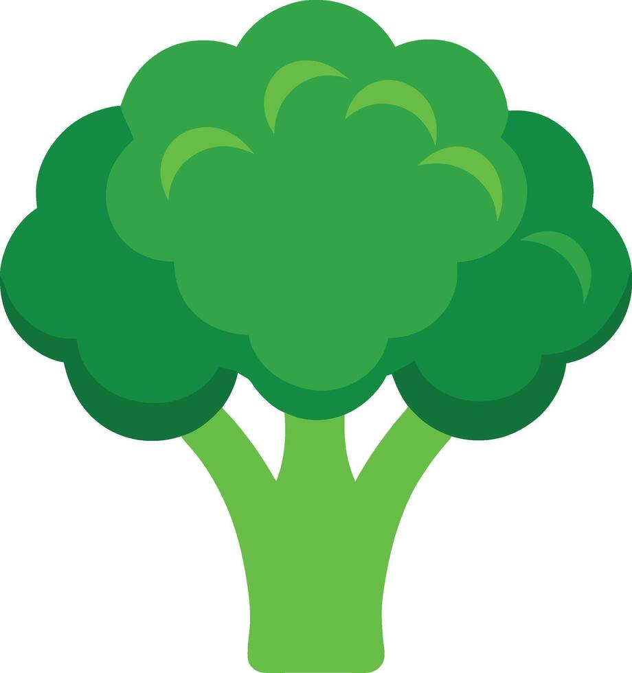 Healthy Green Broccoli Vegetable Art for Culinary Use vector
