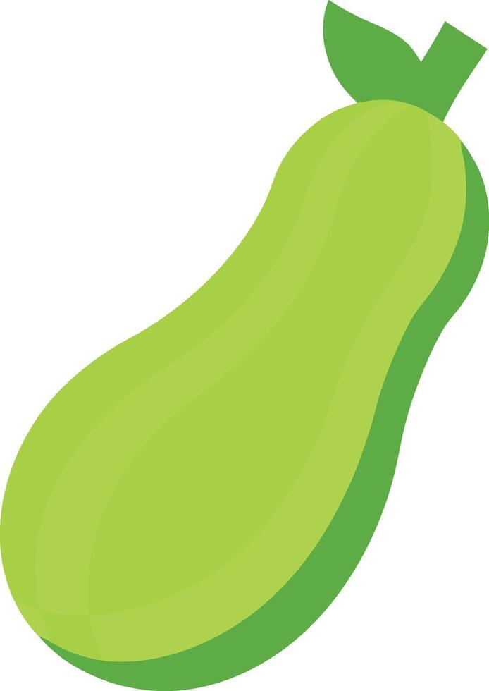 Detailed Bottle Gourd Illustration for Organic Farming vector