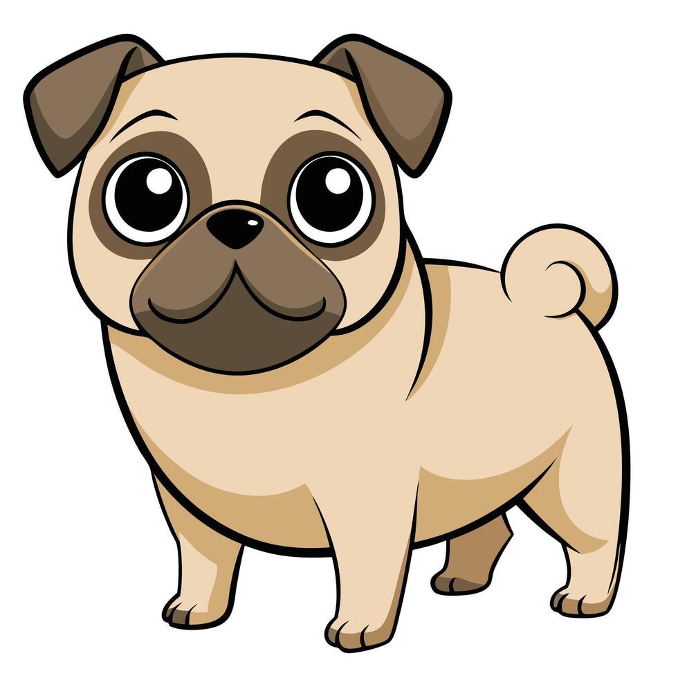 Pug dog on white background, illustration vector