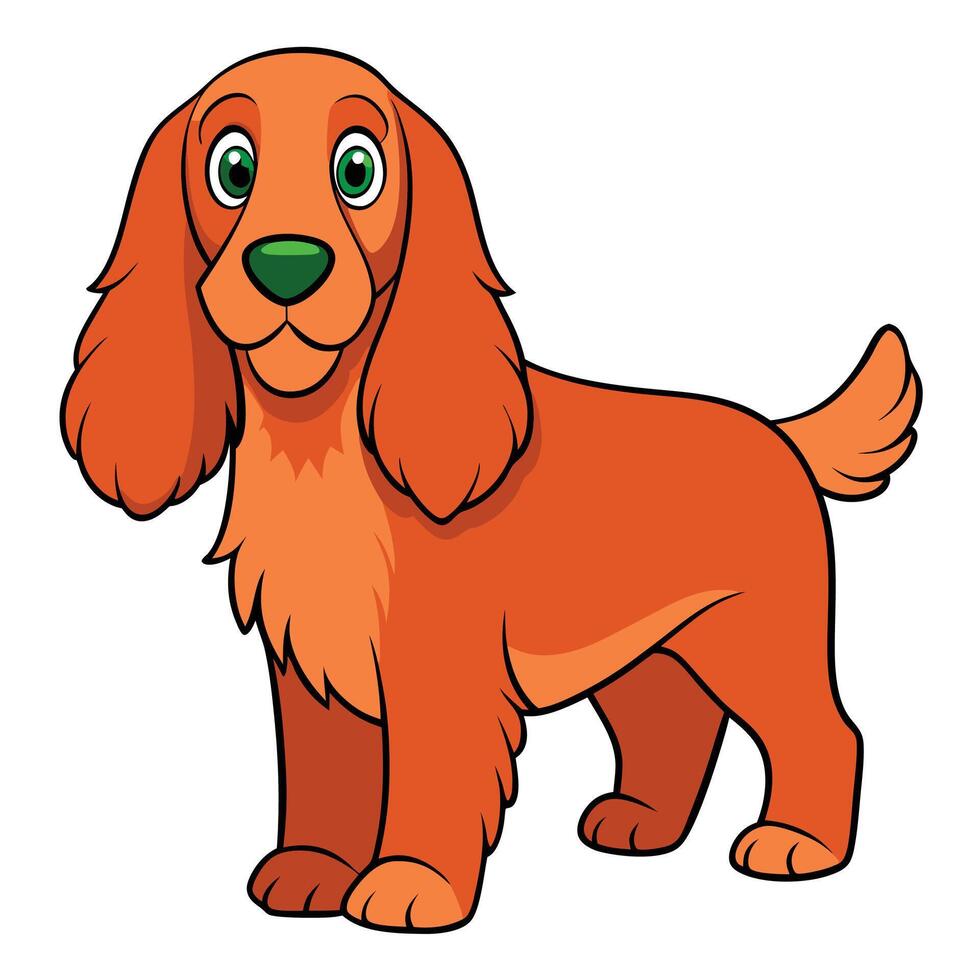 Irish Setter dog on white background, illustration vector