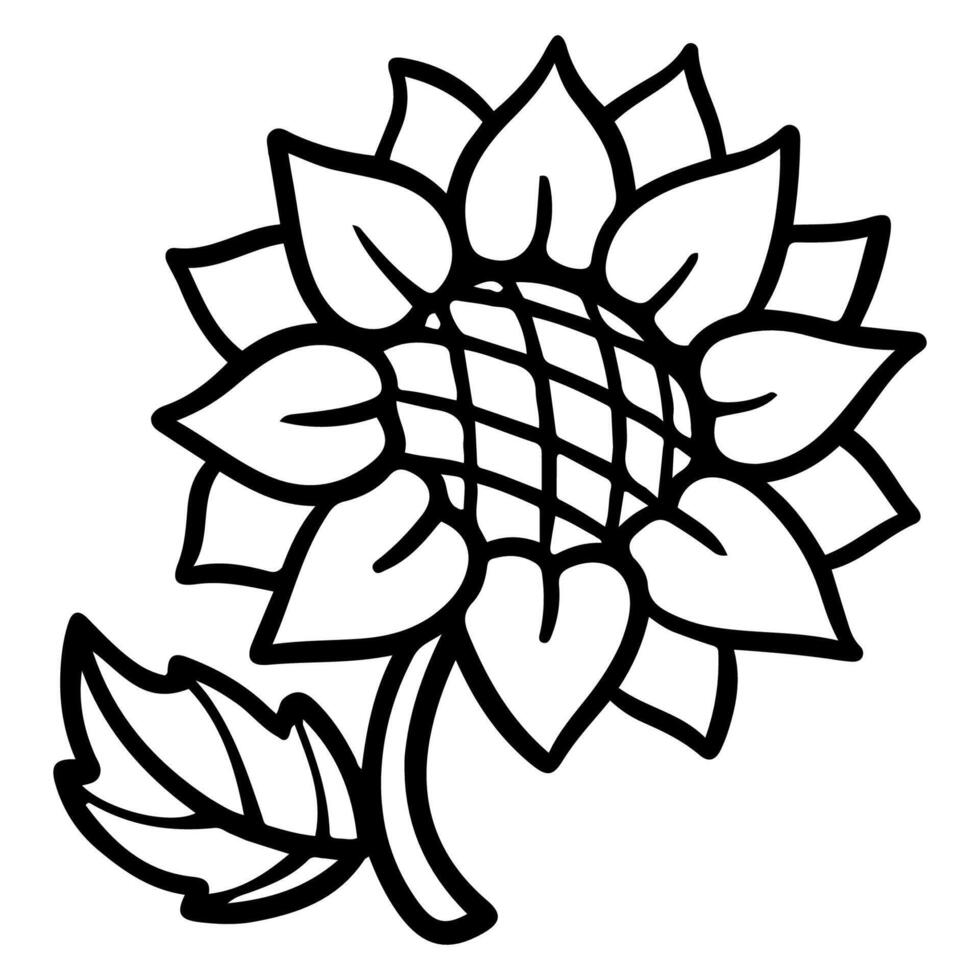 Sunflower coloring pages vector
