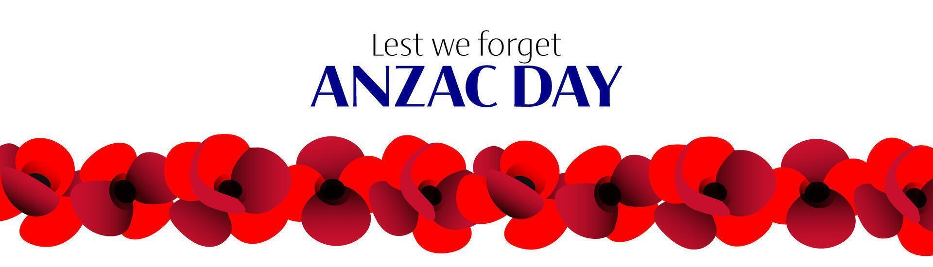 Anzac day horizontal banner with poppy flowers on white background vector