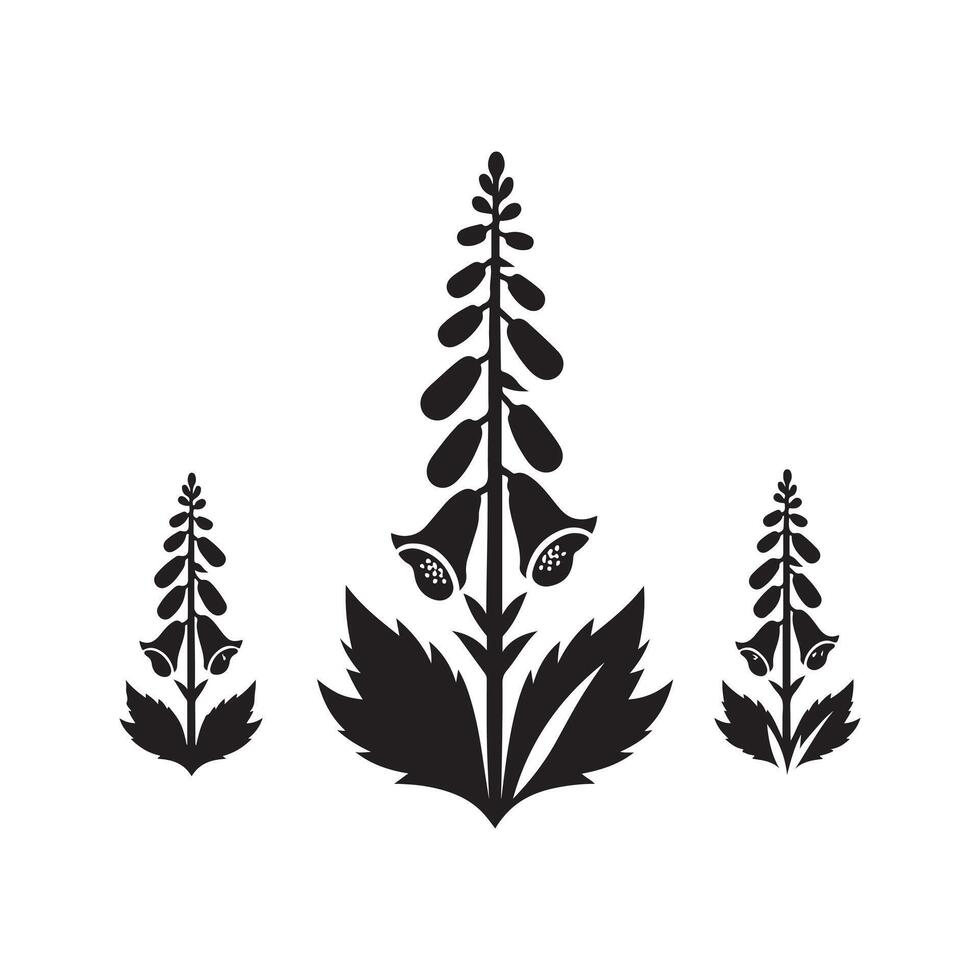 High Resolution Foxglove Black Image vector