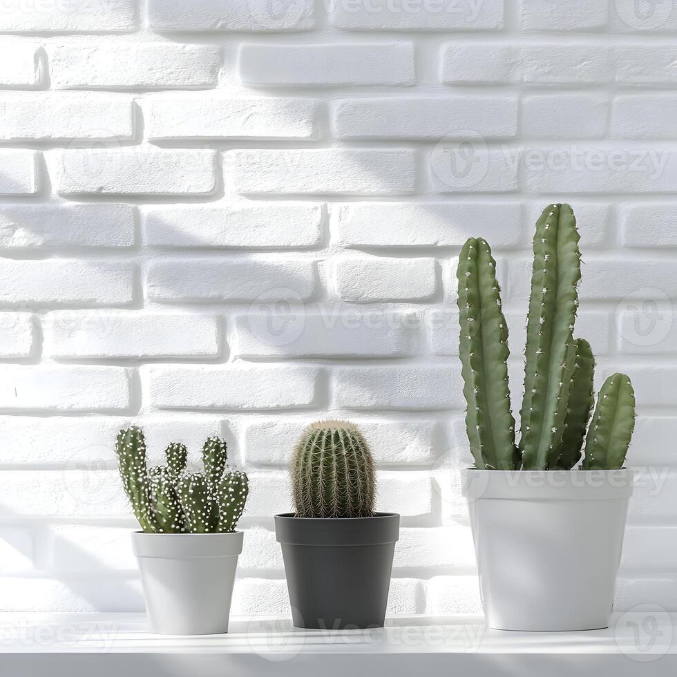 Cactus and succulents in a pot on a white brick wall with shadows. Succulents in pots with copy space. photo