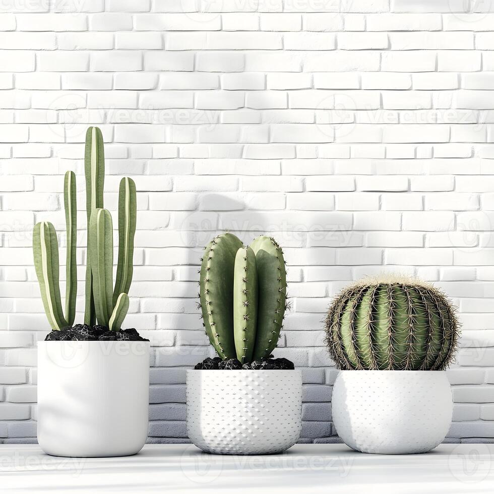 three green cactus and succulents in a pot on a white brick wall. Succulents in pots with copy space. photo