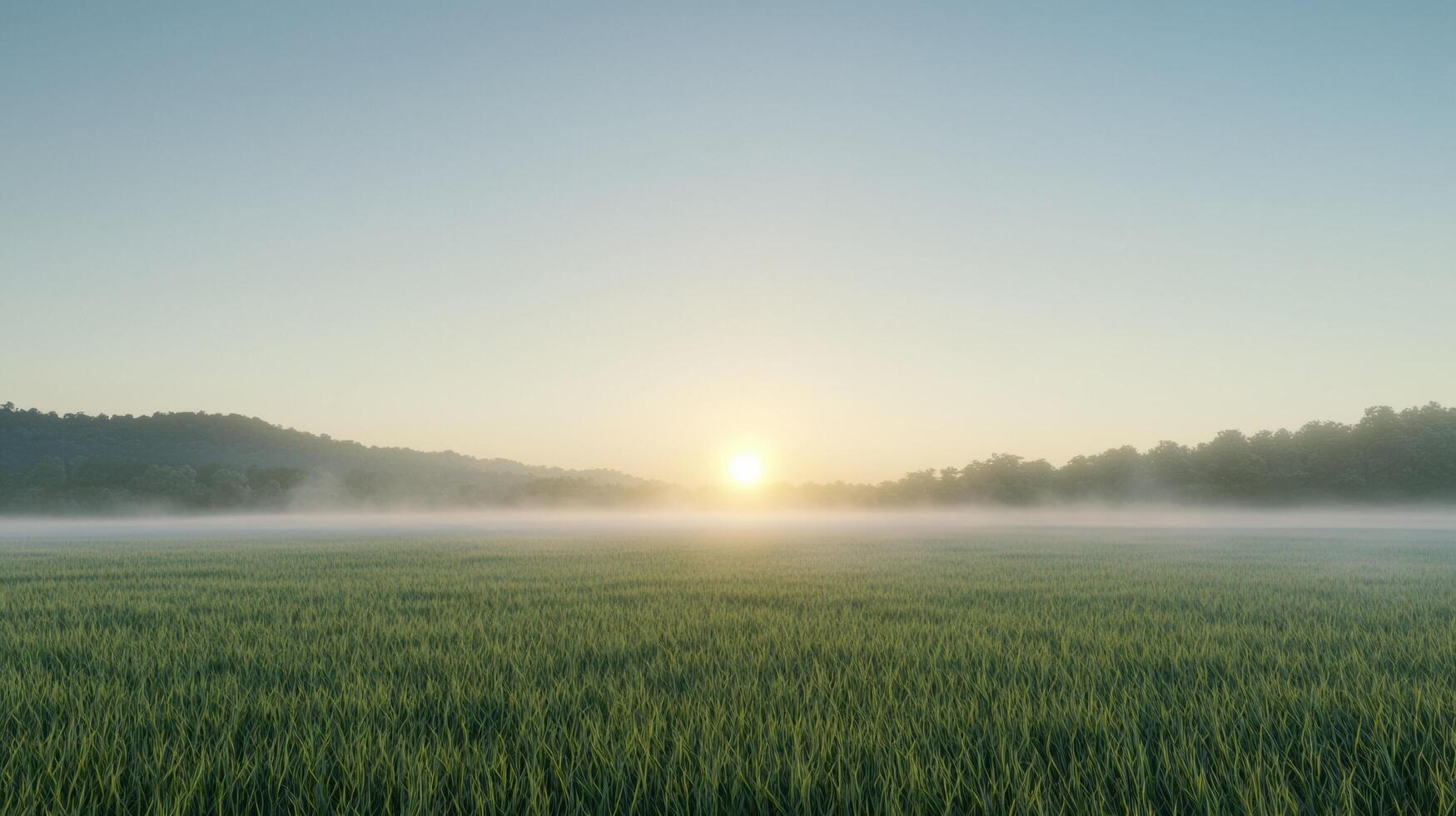 Serene sunrise over a lush green field with mist rising, capturing the tranquil beauty of a new day in the countryside. photo